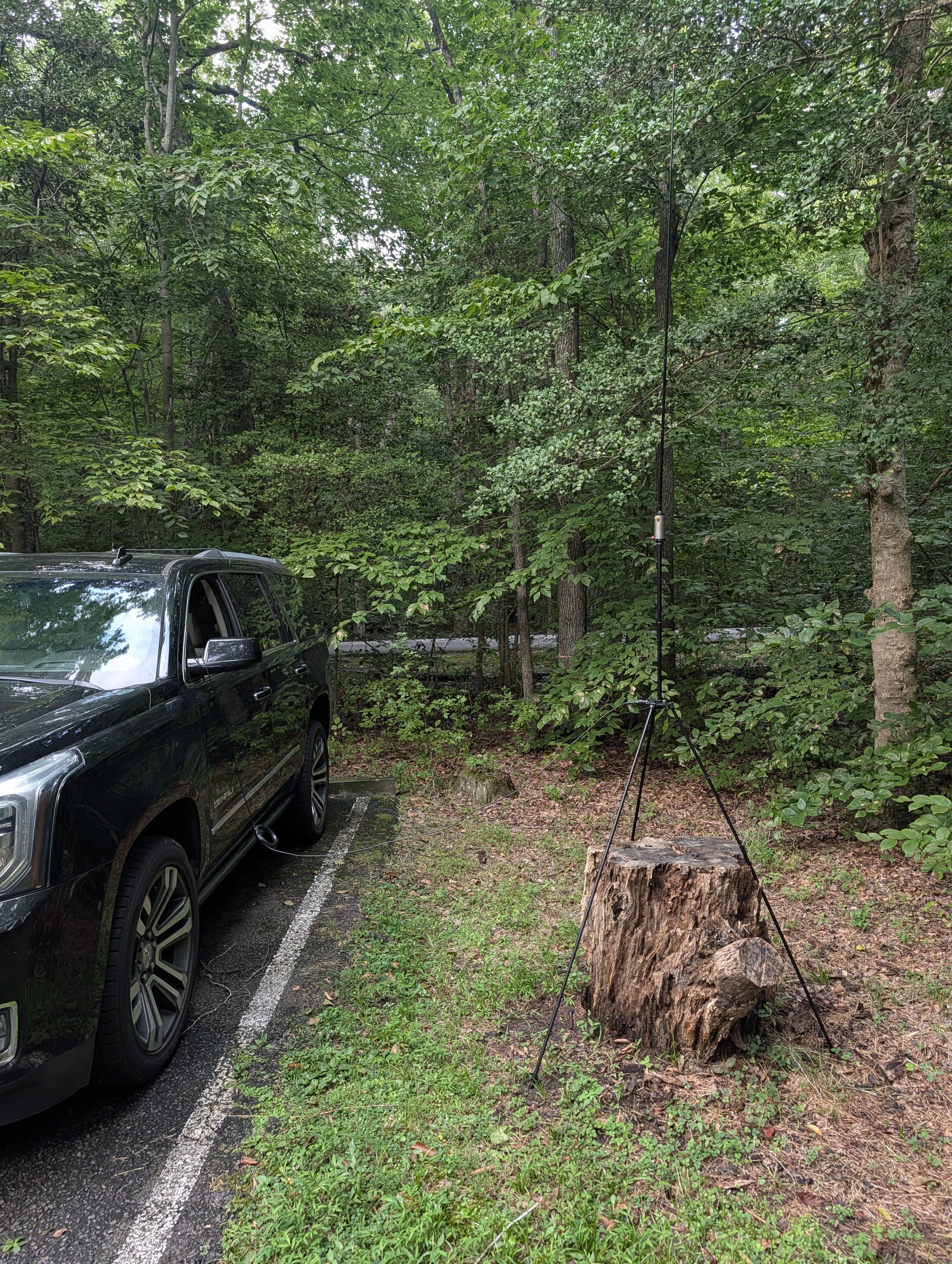 Buddipole vertical mounted on a tree stump next to the SUV at one of the Maryland/Virginia activations